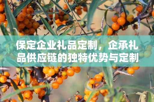 保定企业礼品定制，企承礼品供应链的独特优势与定制之旅
